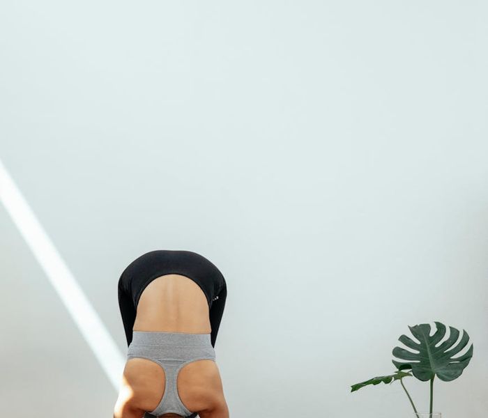 A serene scene with yoga mats in a bright, tranquil studio.